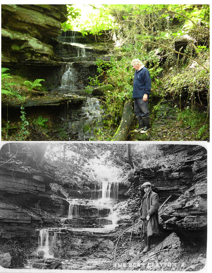 The Scar 2006 c 1905